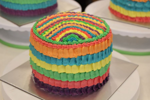 Rainbow Cake & Sourcream Chocolate Almond Slice (RC1)